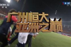 雷速体育官方-广州恒大逆袭胜北京国安，联赛形势趋于激烈的简单介绍
