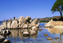 雷速体育app-拉沃尔杯翻盘温网，梅德韦杰夫扛起全队