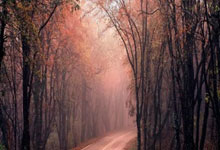 雷速体育电脑版官网下载-凯尔特人轻取南韩男篮,巴恩斯一己之力扛起全队